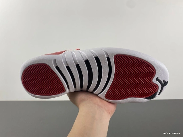 130690-600 Jordan 12 Air Alternate 0825